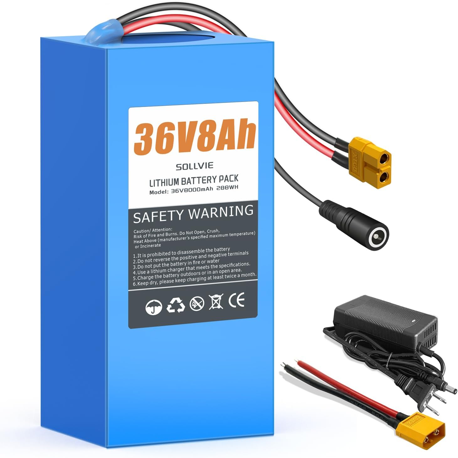 Batería eléctrica de litio de 36 V 8 Ah recargable